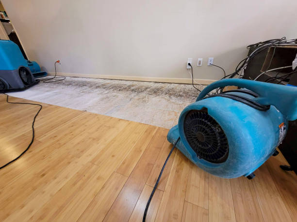 Professional Water Removal technician working in Decherd, TN